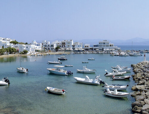 Πίσω Λιβάδι – Δρυός