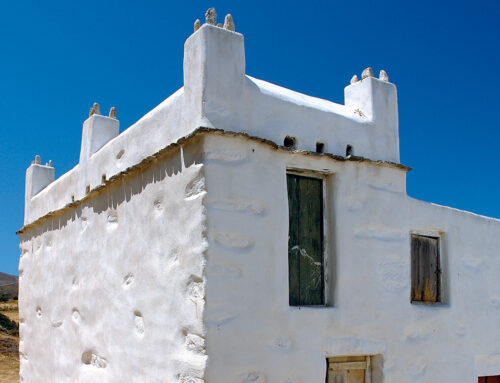 ΚΑΤΟΙΚΙΕΣ, ΤΑ ΑΓΡΟΤΟΣΠΙΤΑ ΤΗΣ ΠΑΡΟΥ